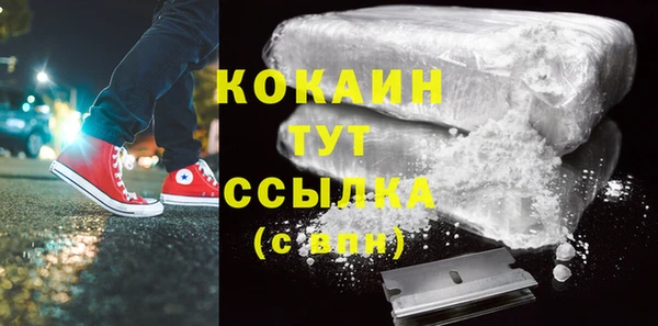 прущие грибы Ступино